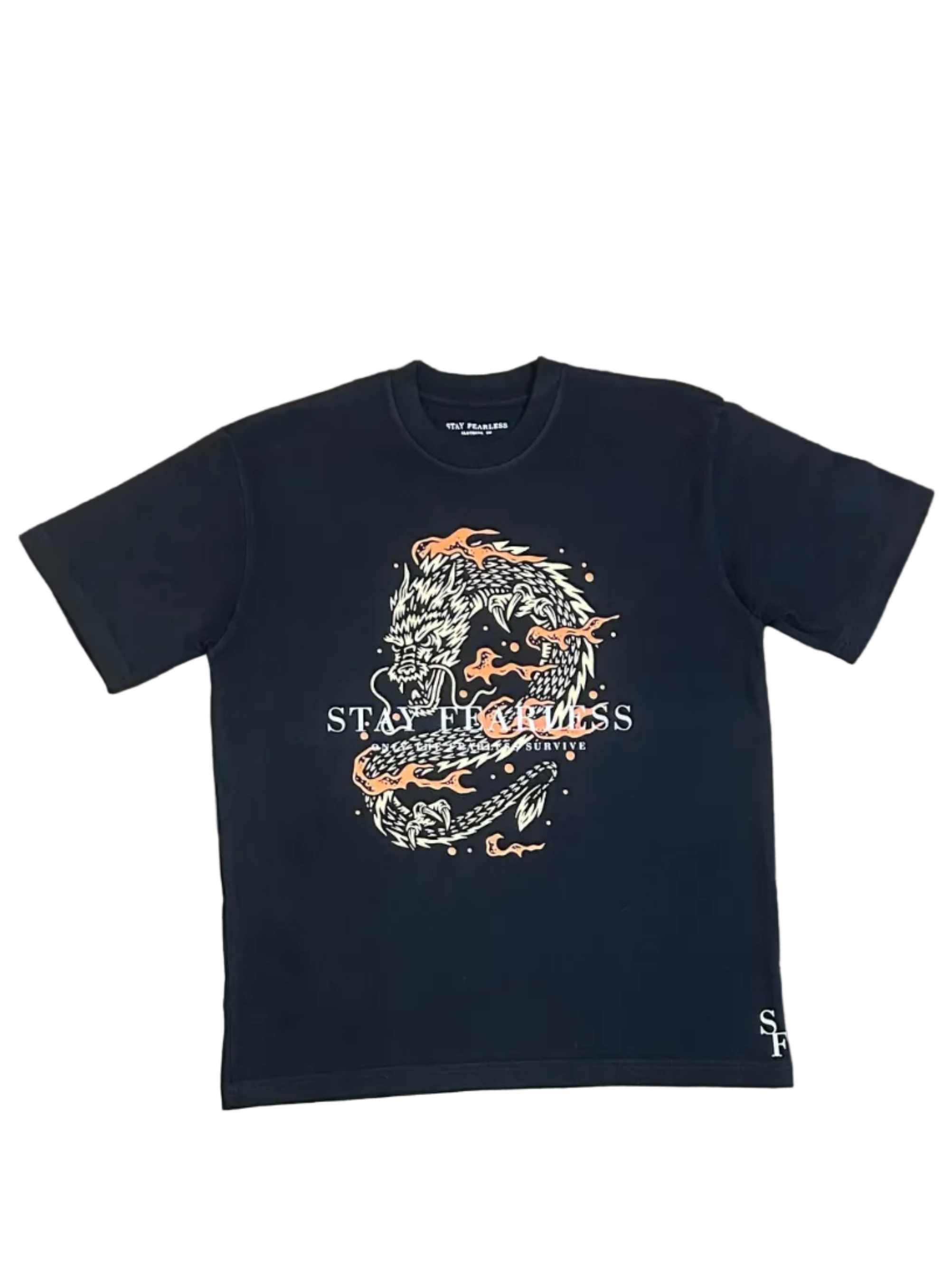 FEARLESS DRAGON GRAPHIC  HEAVY T 7.0 oz COTTON T SHIRT