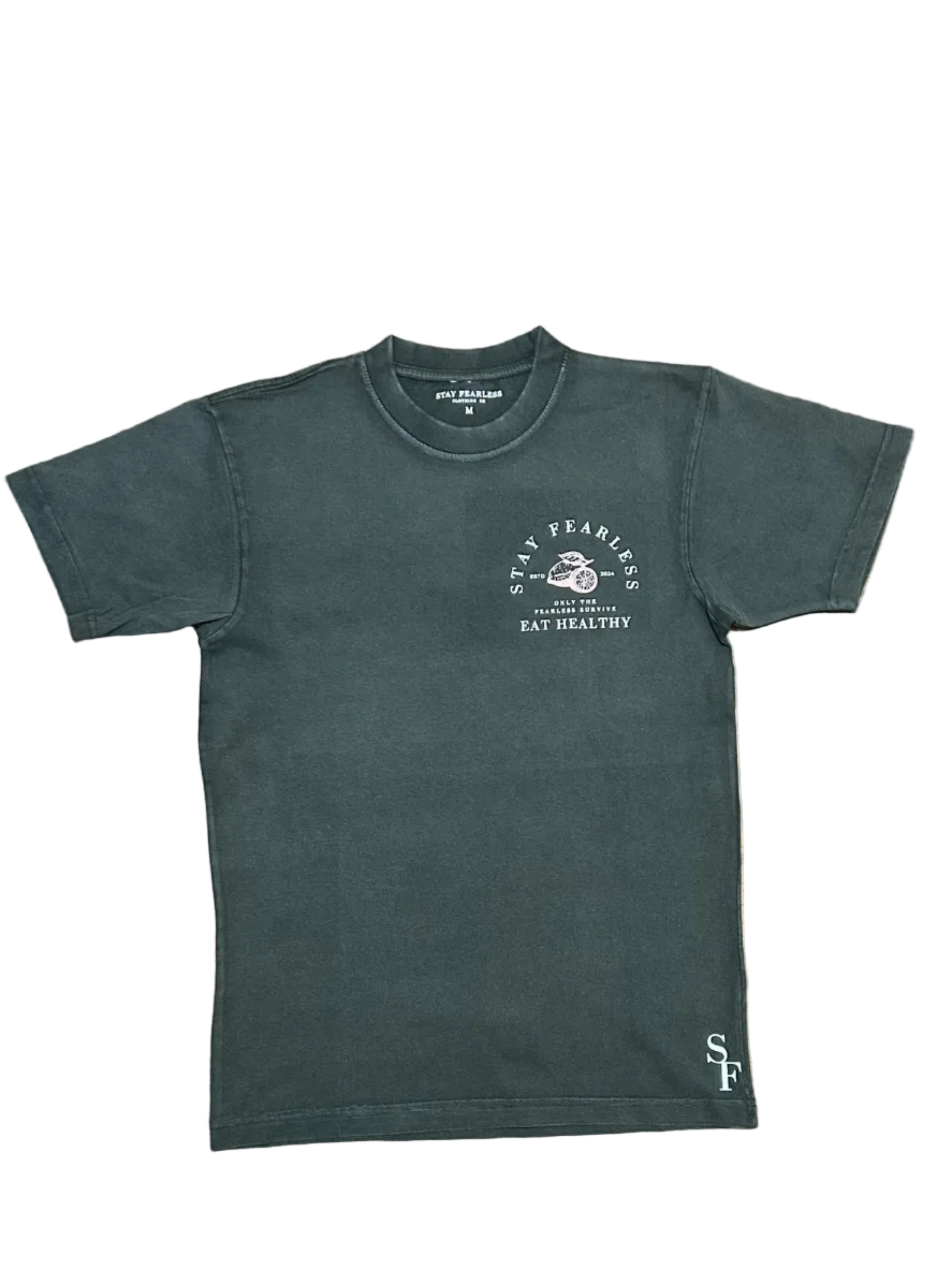 STAY FEARLESS STAY HEALTHY VINTAGE T SHIRT