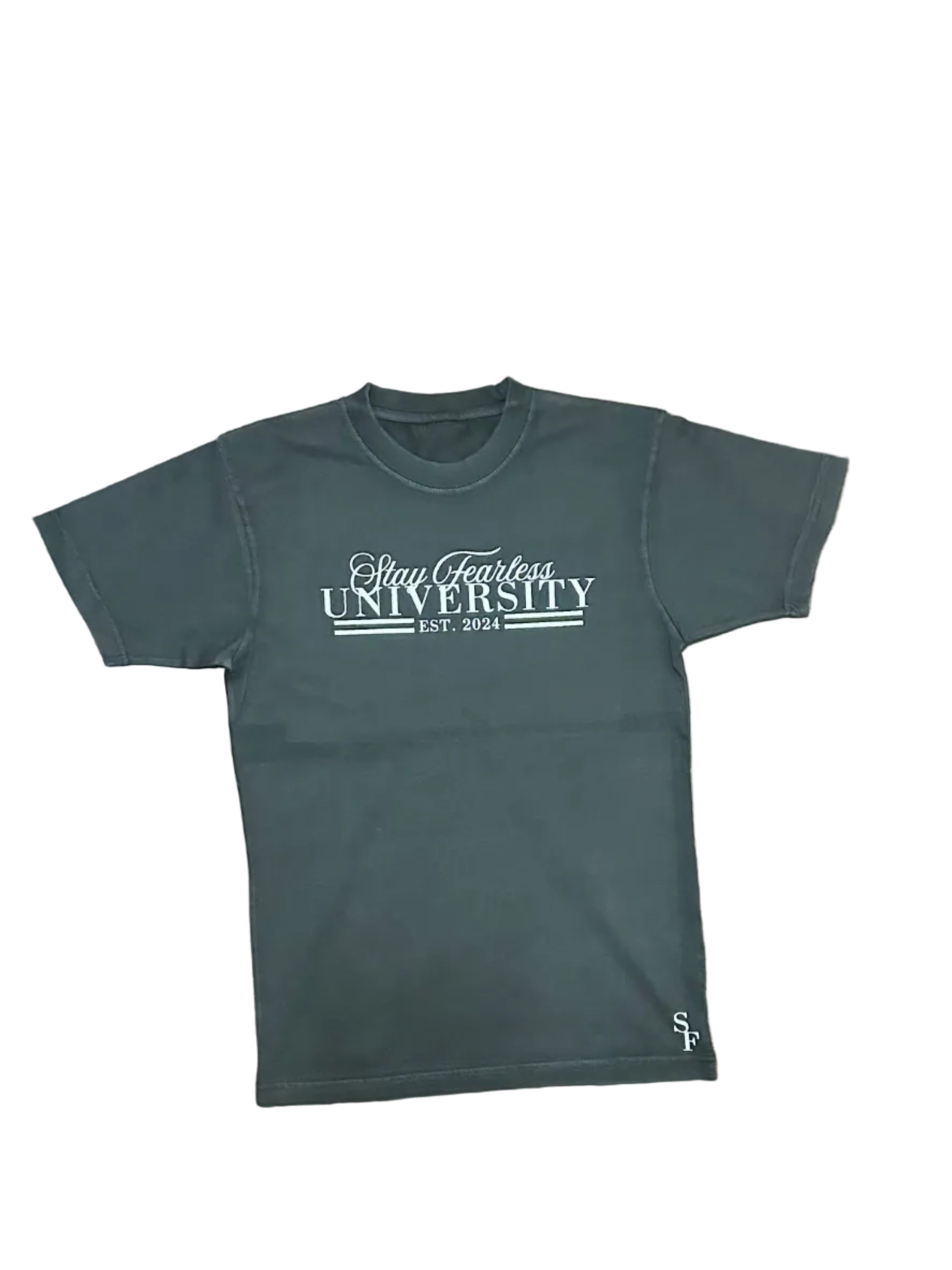 STAY FEARLESS UNIVERSITY T SHIRT