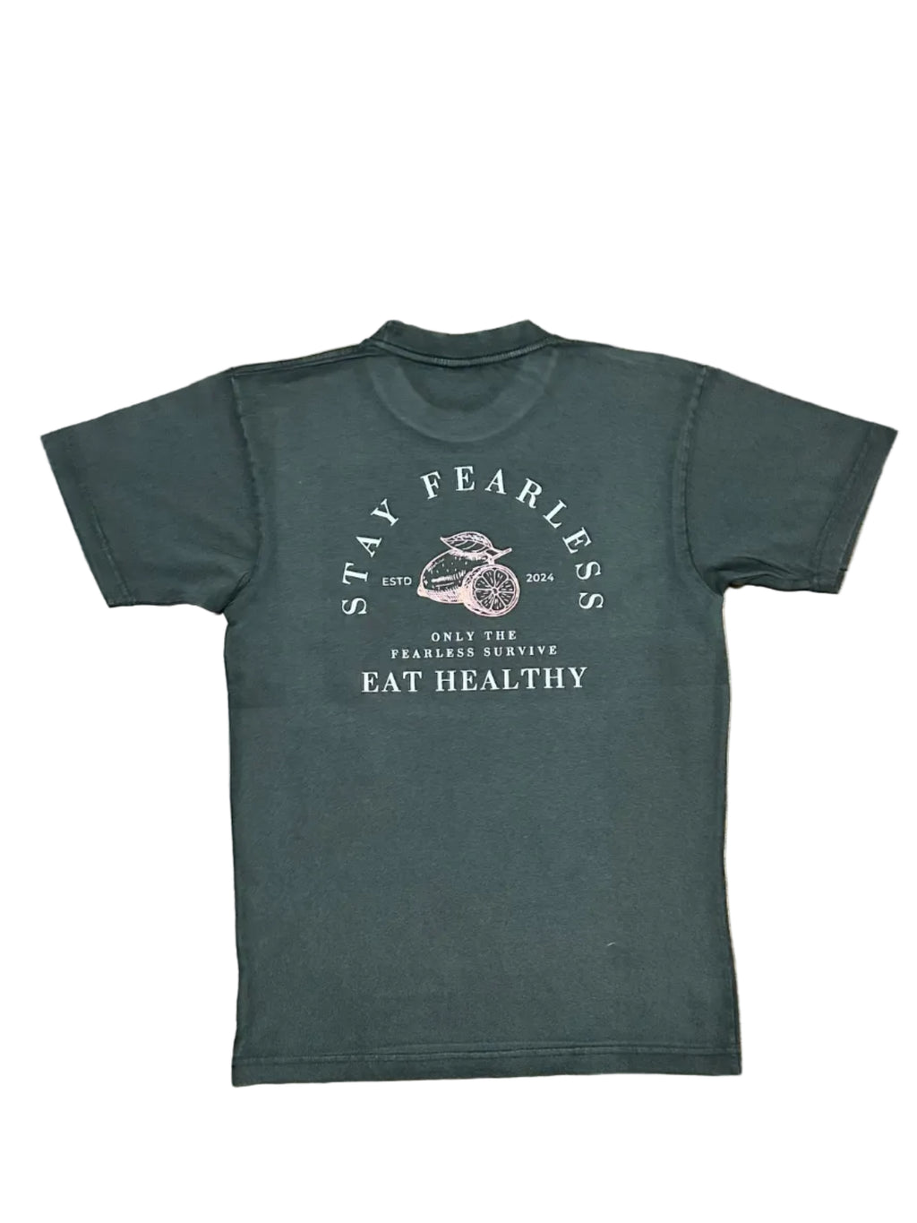 STAY FEARLESS STAY HEALTHY VINTAGE T SHIRT